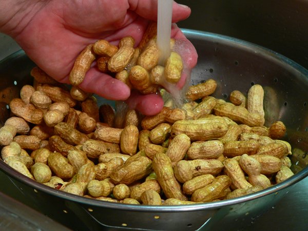 The Best Southern Boiled Peanuts - in a sampler pack - Boil-The-Bag Peanuts