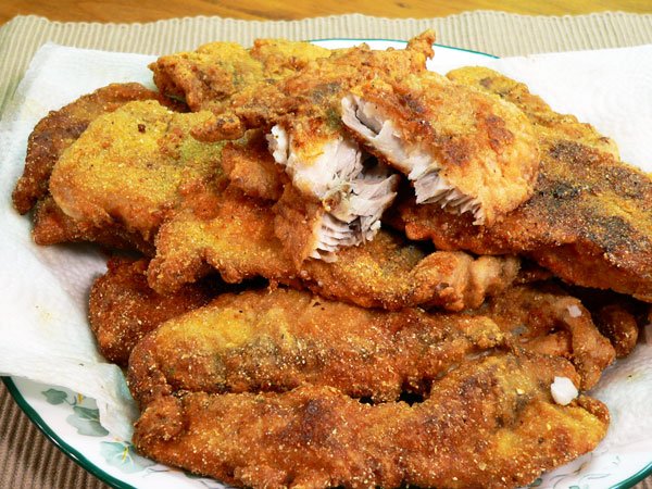 Pan Fried Bluefish Recipe Taste Of Southern