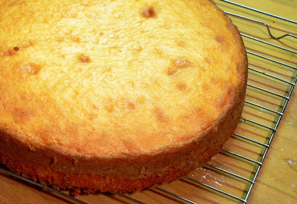 The BEST Homemade Vanilla Cake Recipe Ever! - A Spicy Perspective